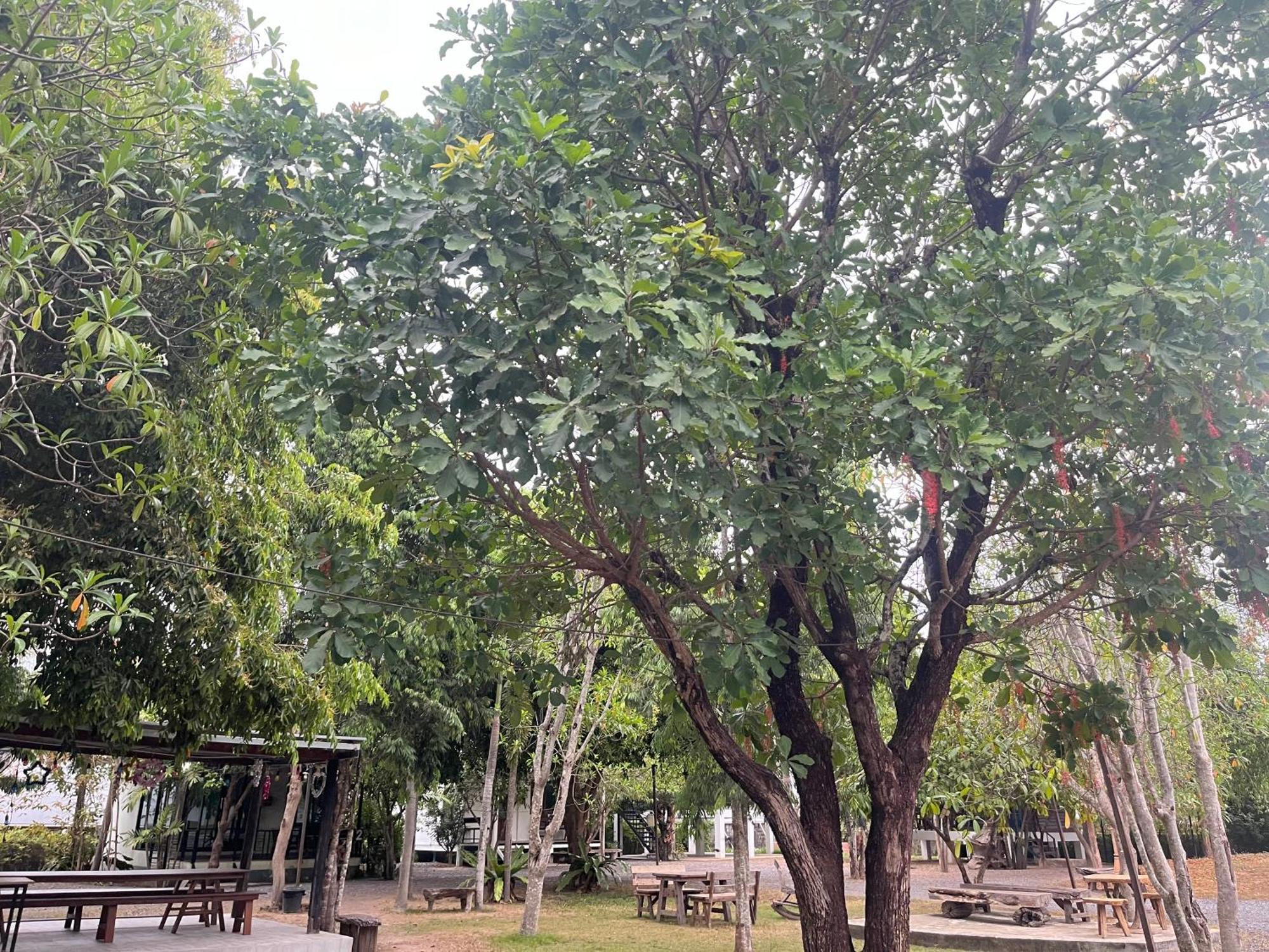 Sangkaset Resort Ban Mong Muang Dış mekan fotoğraf