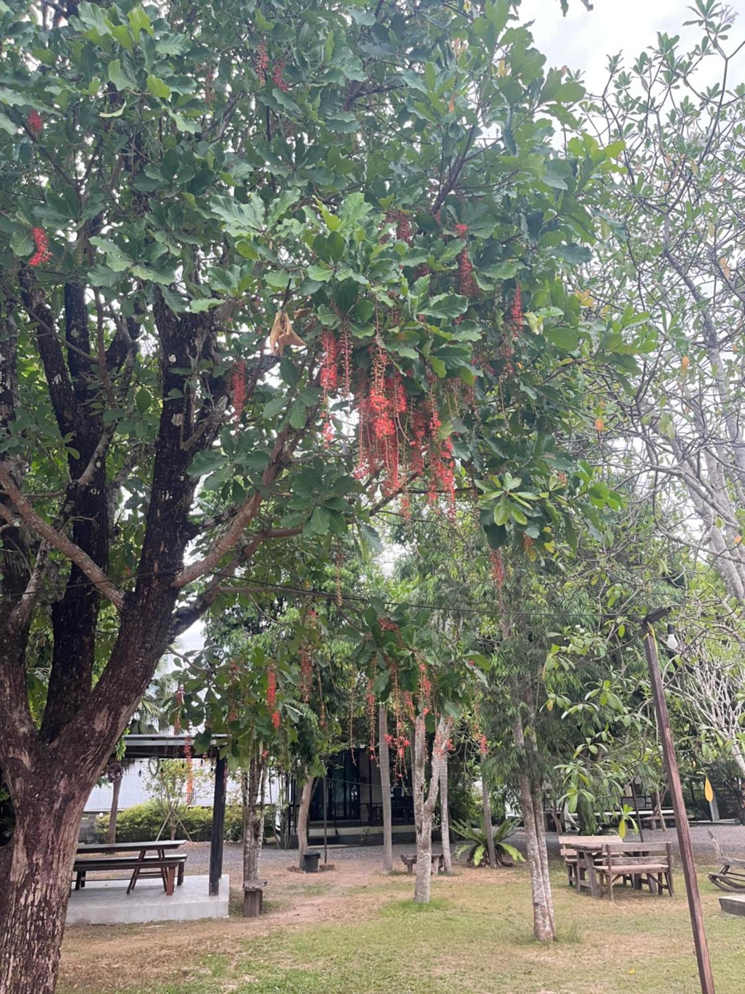 Sangkaset Resort Ban Mong Muang Dış mekan fotoğraf